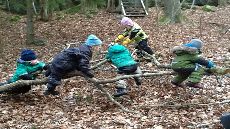 Barn klättrar på trädgrenar.